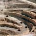 Minería: plan de promoción de inversiones para exportación e infraestructura