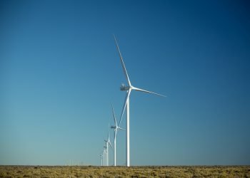 Cuál es el rol de las cooperativas en los planes de desarrollo eólico