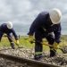Más inversiones en infraestructura para los trenes de carga