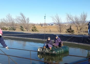 Chubut: licitaron una importante obra para la localidad de Rada Tilly