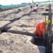 La Rioja licita y ejecuta proyectos de viviendas que superan los $2.000 millones