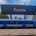 Modernización del Transporte Ferroviario: importantes obras en la Estación Floresta