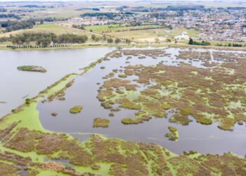 Castelli: se licitaron obras de limpieza para la laguna La Rosita