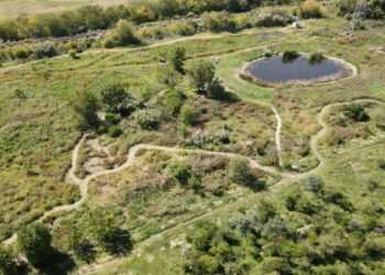 Se licitaron obras para ampliar la reserva natural del corredor de San Miguel