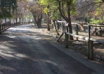 Proyecto Ecoparque: Mendoza recibió la no objeción del BID y puede licitar la obra