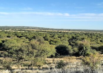 Parque Nacional El Caldenal: avanza su creación
