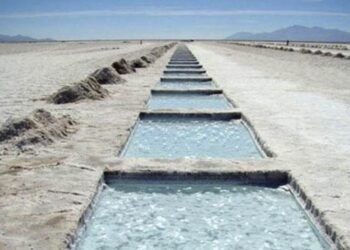 Catamarca anunció la industrialización del litio de la mano de inversores chinos