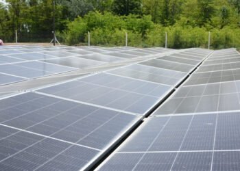 Inauguraron el Parque Solar de Saladillo