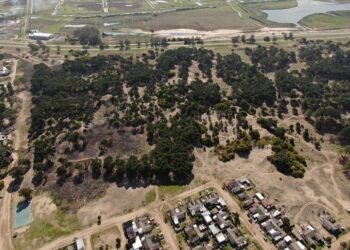 Licitaron la construcción de viviendas en Pinamar