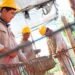 Construcción de 119 viviendas del Procrear en Paso de los Libres