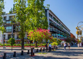 La política pública como motor del desarrollo económico