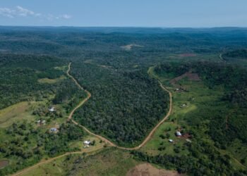 Misiones: avanza la pavimentación de la RP212