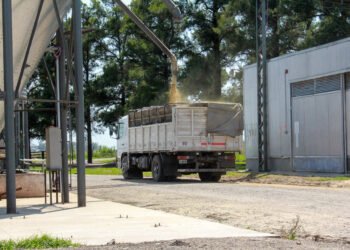 Inician una obra clave en la zona rural del departamento Paraná