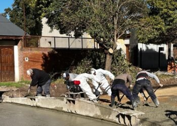 Venado Tuerto sigue batiendo récords en la ejecución de cuadras de pavimento