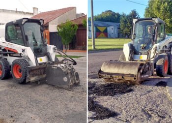 Versatilidad, productividad, rentabilidad y eficiencia