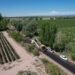 Mendoza : asfaltan una importante vía que conduce a bodegas de fama mundial