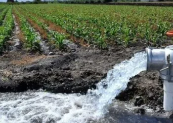 Interés de Corea y del BID para invertir en obras de infraestructura en San Juan