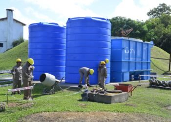 Avanzan obras hidráulicas y de agua potable en la Isla Martín García