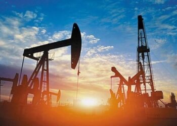 Mendoza: licitaron áreas hidrocarburíferas con ofertas por más de USD 33.000.000