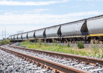 Trenes Argentinos Cargas realiza inversiones en infraestructura