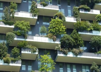 Qué harán Estados y empresas para lograr la descarbonización del entorno construido para el 2030