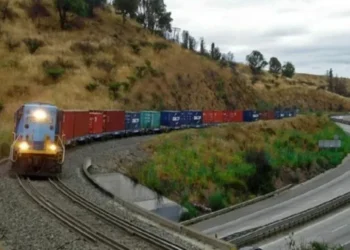 Neuquén: otro paso clave para la implementación del transporte bimodal