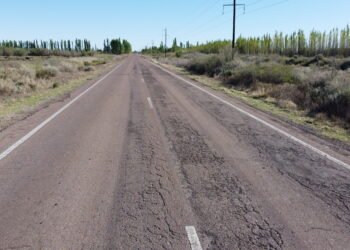 Mendoza: nueve empresas quieren asfaltar una ruta del Sur provincial