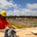 Avanza la megaobra de más de 800 casas en Guernica
