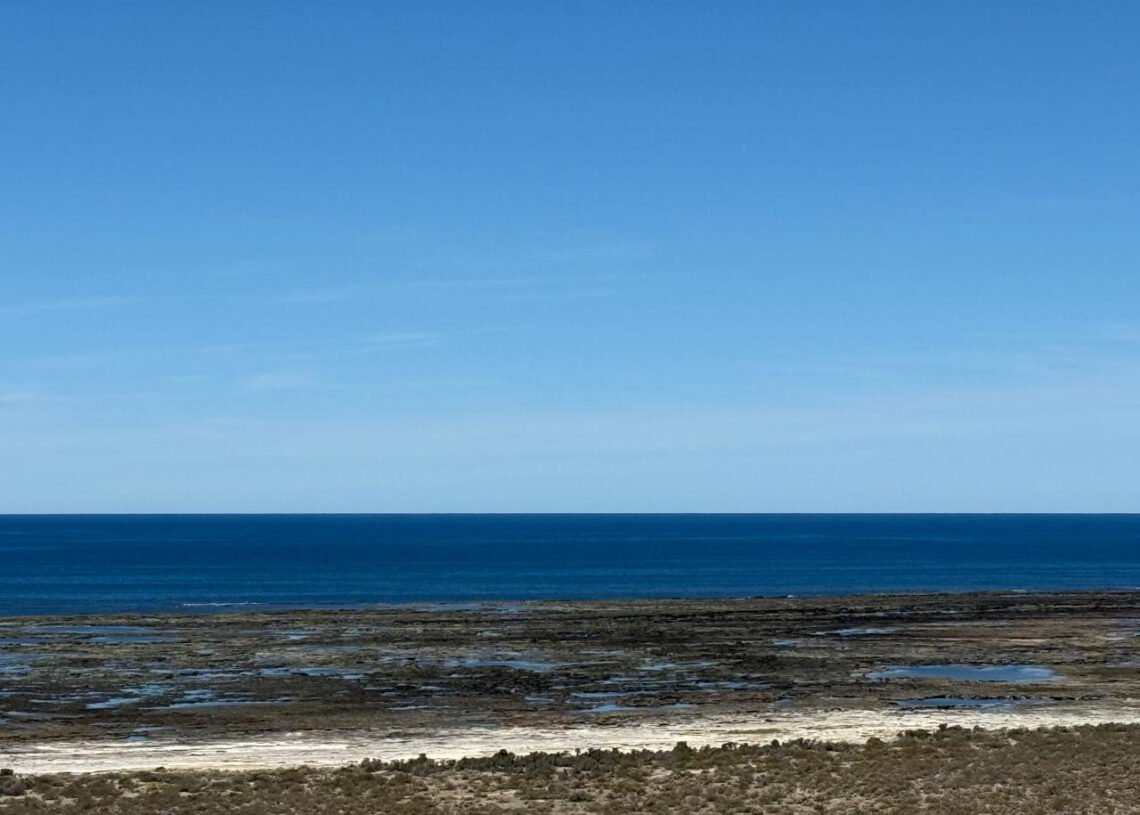 Río Negro: avanza el primer proyecto de producción y exportación de GNL