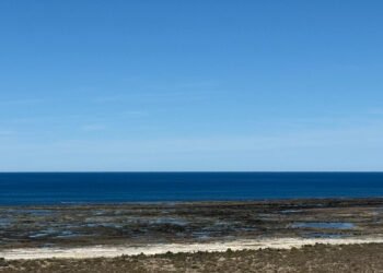 Río Negro: avanza el primer proyecto de producción y exportación de GNL