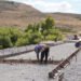 En Neuquén avanzan los trabajos en el Puente de La Rinconada