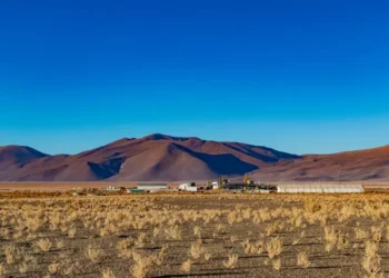 Avanza en el Proyecto de Litio Rincón en la Puna salteña