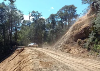 Cinco ofertas para pavimentar una ruta clave de San Martín de los Andes