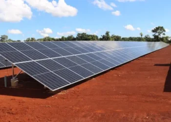 Avanza la construcción del parque solar en Oberá y sería el más grande de la provincia