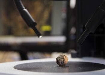 Arcillas y aserrín para desarrollar materiales de construcción sustentables