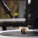 Arcillas y aserrín para desarrollar materiales de construcción sustentables