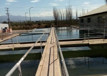 Nueva planta potabilizadora compacta en Luján de Cuyo