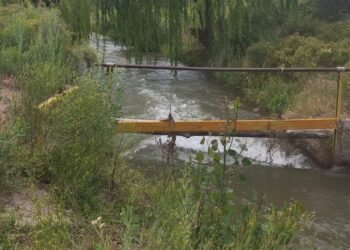 Seis ofertas compiten por una obra hídrica clave en el Sur provincial mendocino