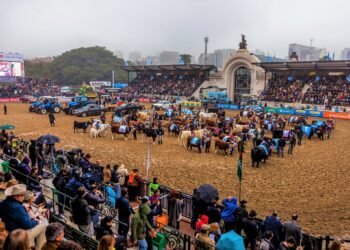La infraestructura como motor del desarrollo: el CPI convoca a reflexionar sobre el futuro productivo del país en la Expo Rural 2025