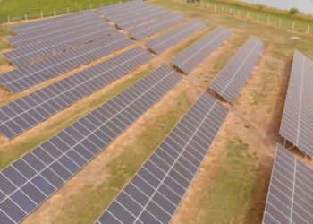 Provincia de Buenos Aires construirá cinco nuevos parques solares
