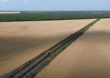 Santa Fe mejora la infraestructura hídrica para potenciar la producción