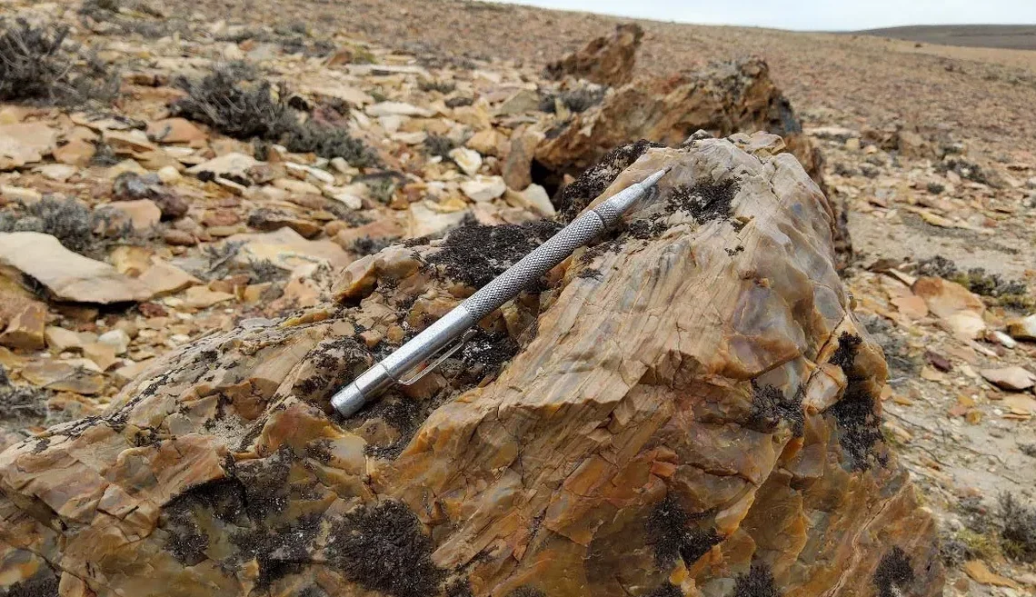 Santa Cruz dará inicio a los trabajos de exploración de oro y plata en el Macizo del Deseado