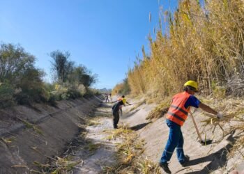 San Juan lanza 18 licitaciones para la monda 2026
