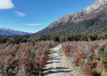 Neuquén: más del 54% de la obra ejecutada en la Ruta Provincial 65 hacia Villa Traful