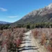 Neuquén: más del 54% de la obra ejecutada en la Ruta Provincial 65 hacia Villa Traful
