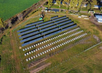 Buenos Aires avanza con la construcción de 8 nuevos parques solares