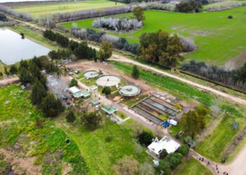 Fortalecen el sistema de agua y saneamiento de San Miguel del Monte