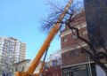 Grúa telescópica compacta y todoterreno para trabajos urbanos