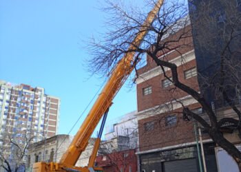 Grúa telescópica compacta y todoterreno para trabajos urbanos