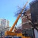 Grúa telescópica compacta y todoterreno para trabajos urbanos